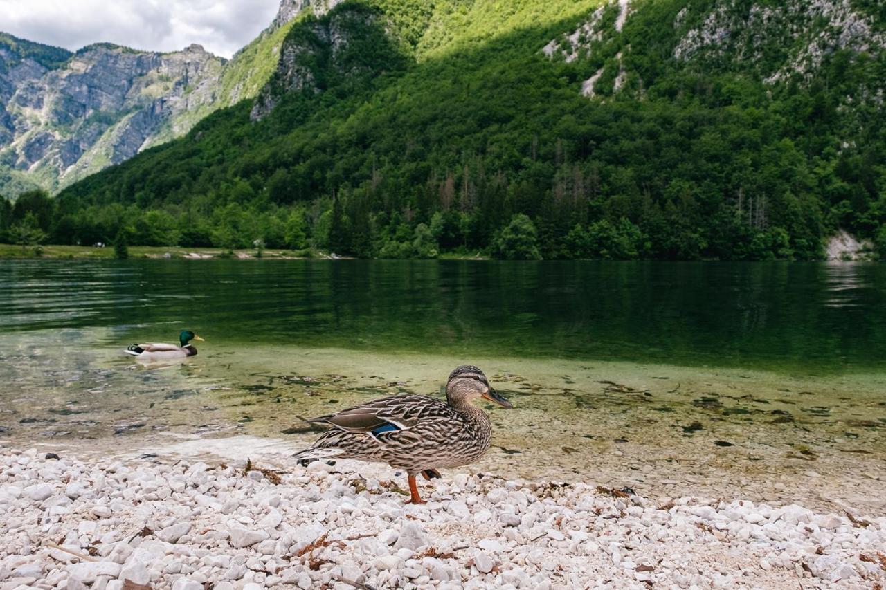 Villa Melody Bohinj Eksteriør bilde